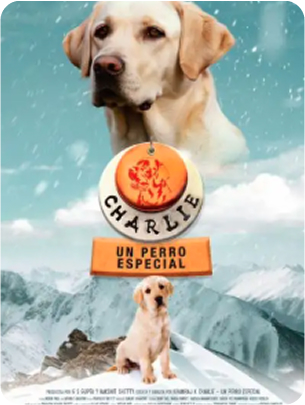 Right People, Wrong Place